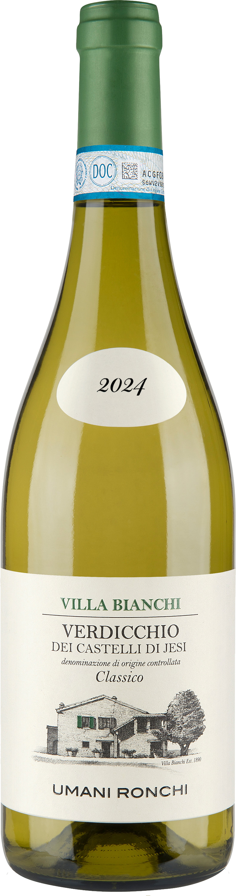 Verdicchio dei Castelli di Jesi Classico DOC “Villa Bianchi” 2024 Umani Ronchi