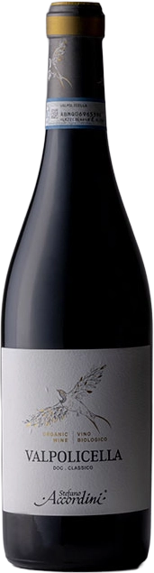 Valpolicella Classico DOC 2024 Accordini