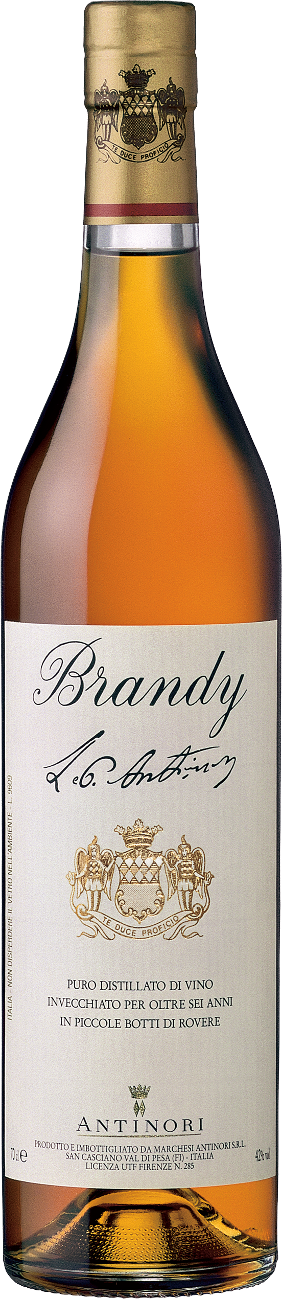 Brandy Antinori