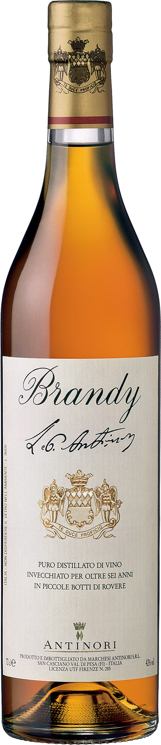Brandy Antinori