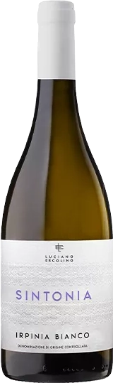 Irpinia Bianco DOC “Sintonia” 2021 Vinosia