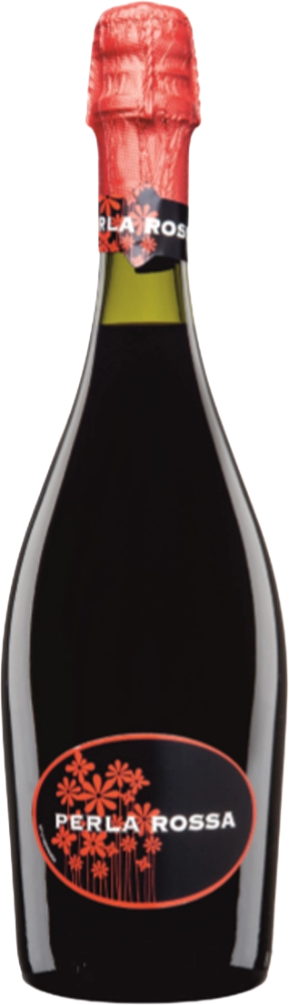 Lambrusco IGT 2024 Sgarzi Luigi