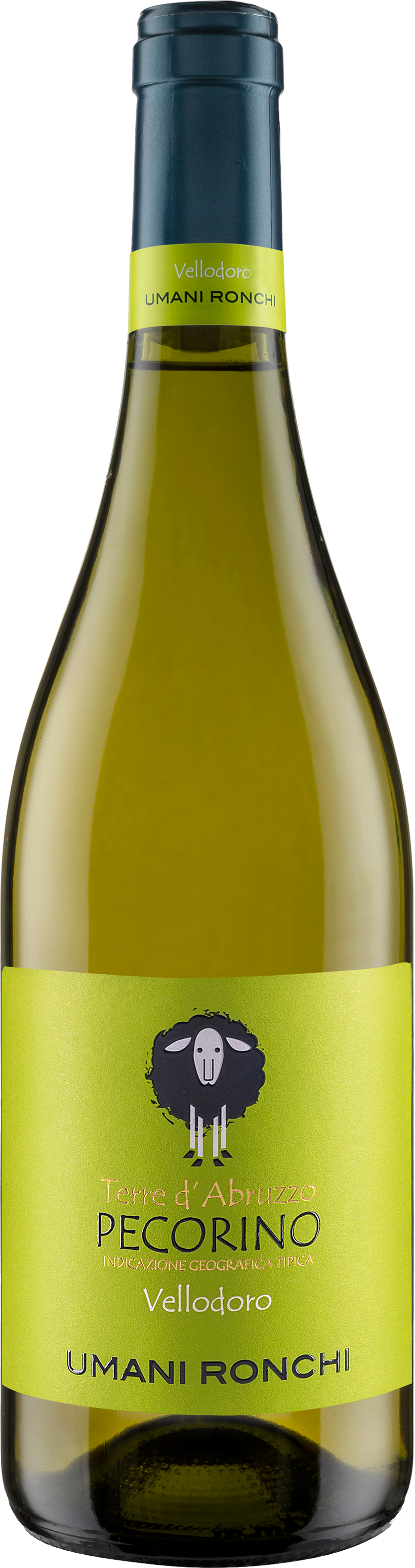 Pecorino IGT “Valledoro” 2023 Umani Ronchi