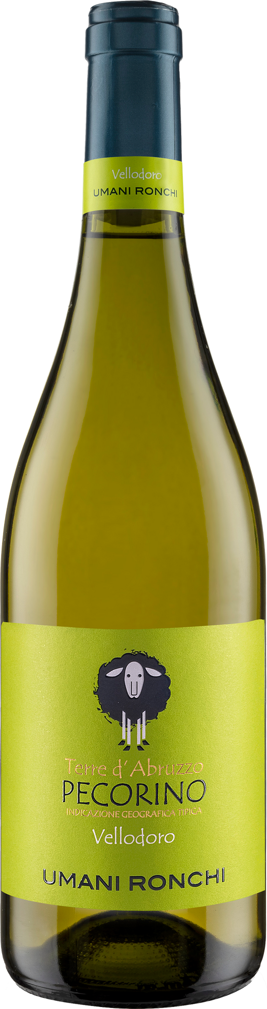Pecorino IGT “Valledoro” 2023 Umani Ronchi