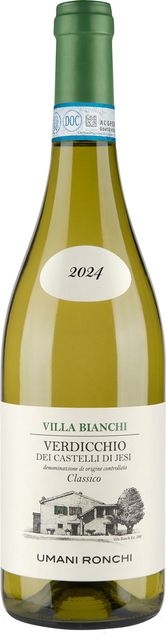 Verdicchio dei Castelli di Jesi Classico DOC “Villa Bianchi” 2024 Umani Ronchi