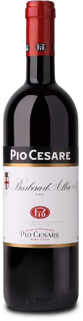Barbera d’Alba DOC 2022 Pio Cesare