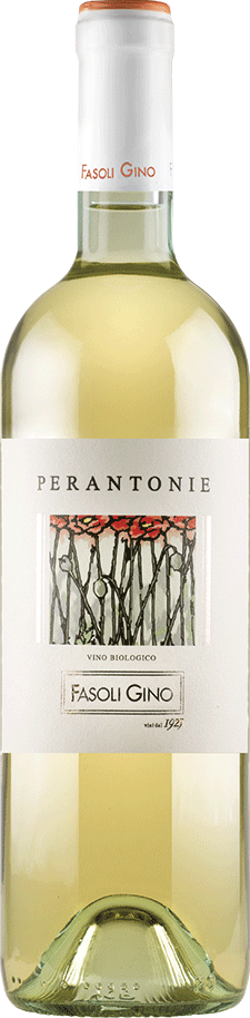 Chardonnay Veronese Perantonie IGT BIO 2024 Fasoli Gino