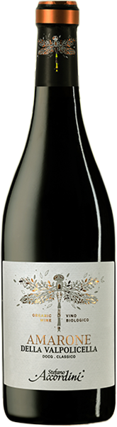 Amarone della Valpolicella Classico DOCG 2020 Accordini